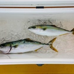 火遠理丸（ほおりまる） 釣果