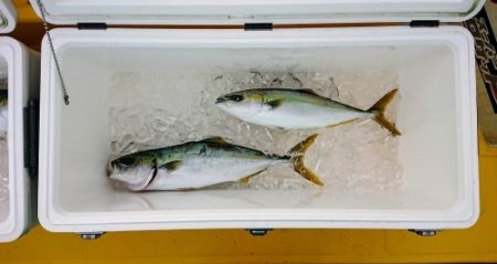 火遠理丸（ほおりまる） 釣果