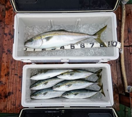 火遠理丸（ほおりまる） 釣果