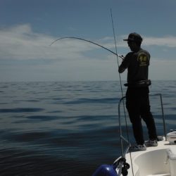 開進丸 釣果