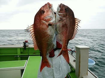 利八丸 釣果