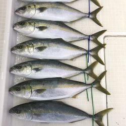 剣 釣果