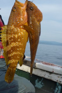 松福丸 釣果