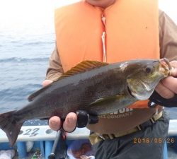 石川丸 釣果