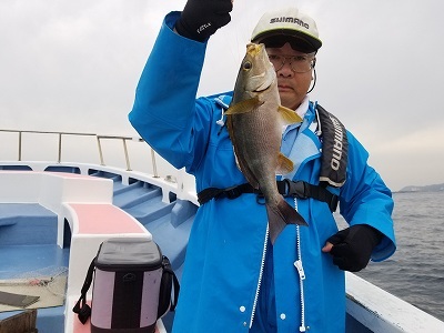 しまや丸 釣果