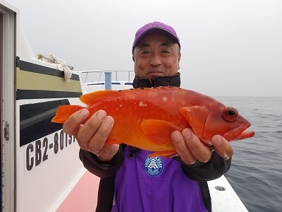 しまや丸 釣果