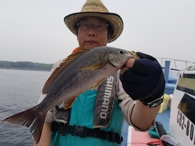 しまや丸 釣果