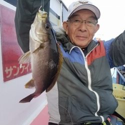 しまや丸 釣果