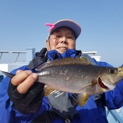 しまや丸 釣果