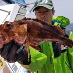 しまや丸 釣果