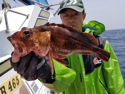 しまや丸 釣果