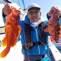 しまや丸 釣果