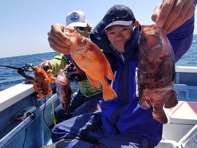 しまや丸 釣果