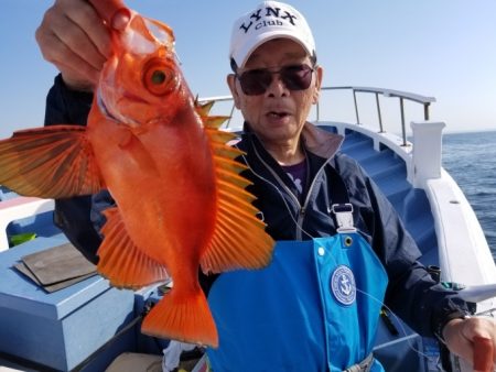 しまや丸 釣果