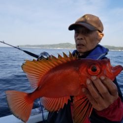 しまや丸 釣果