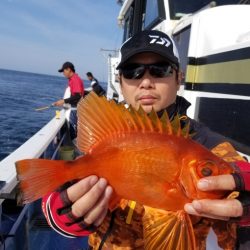 しまや丸 釣果