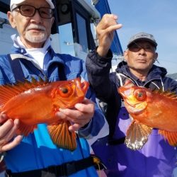 しまや丸 釣果