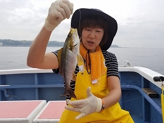 しまや丸 釣果