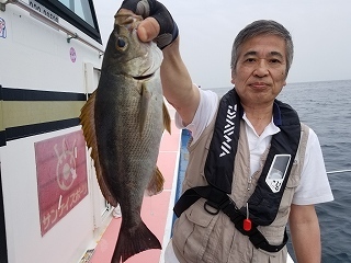 しまや丸 釣果