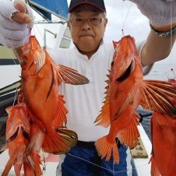 しまや丸 釣果