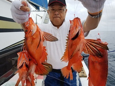 しまや丸 釣果