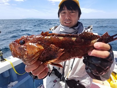 しまや丸 釣果