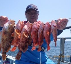 石川丸 釣果