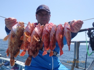 石川丸 釣果