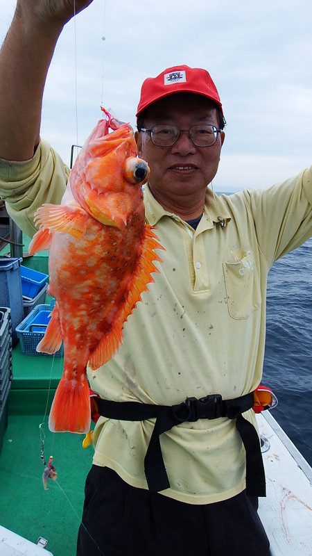 第三むつりょう丸 釣果