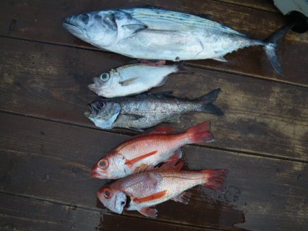 小海途 釣果