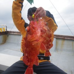 小海途 釣果