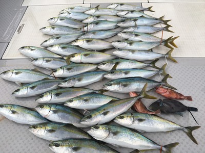 ミタチ丸 釣果