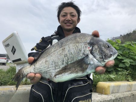 由良渡船 釣果