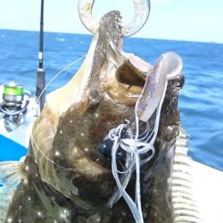 さわ浦丸 釣果