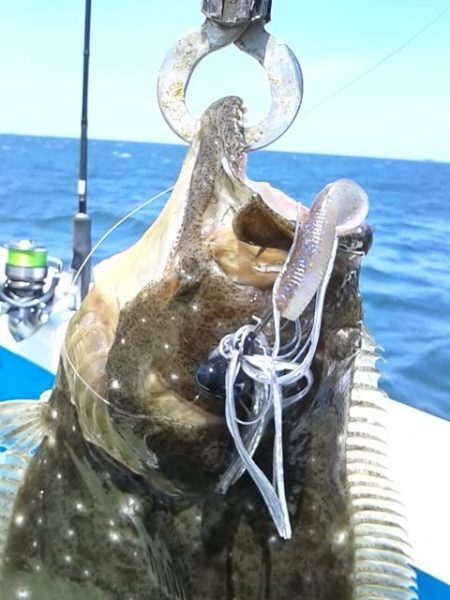 さわ浦丸 釣果