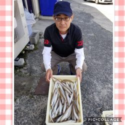 桑田観光 釣果