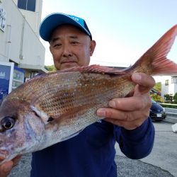 桑田観光 釣果