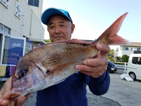 桑田観光 釣果