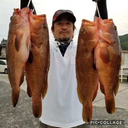 桑田観光 釣果