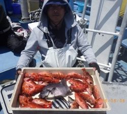 石川丸 釣果