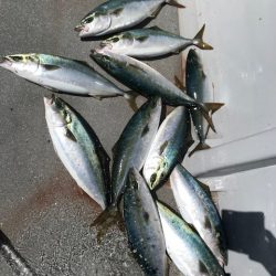 へいみつ丸 釣果