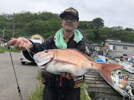 由良渡船 釣果