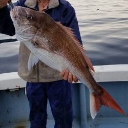 海夢偉 釣果