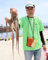 魚英 釣果