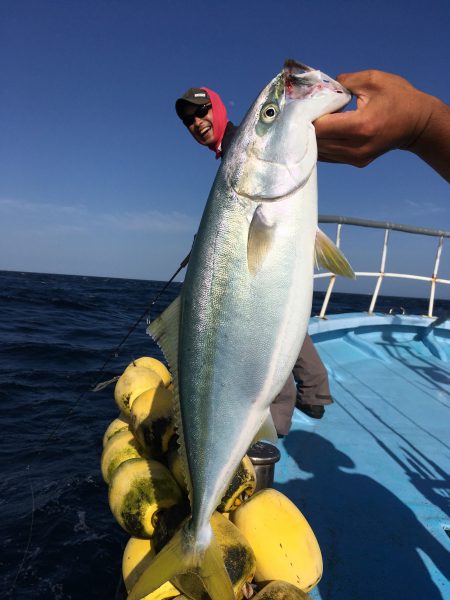 松鶴丸 釣果