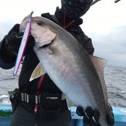 松鶴丸 釣果