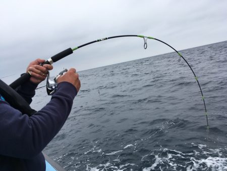 松鶴丸 釣果