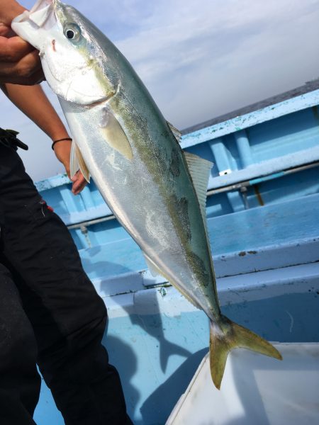 松鶴丸 釣果