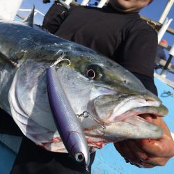 松鶴丸 釣果