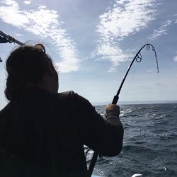 松鶴丸 釣果